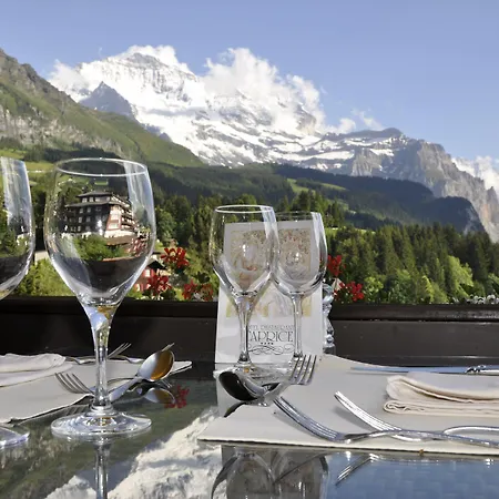 Hotel Maya Caprice Wengen