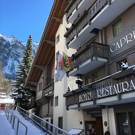 Hotel Maya Caprice Wengen