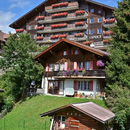 Hotel Maya Caprice Wengen