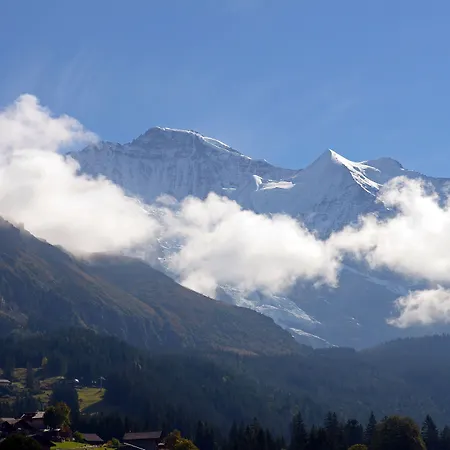 Maya Caprice Wengen