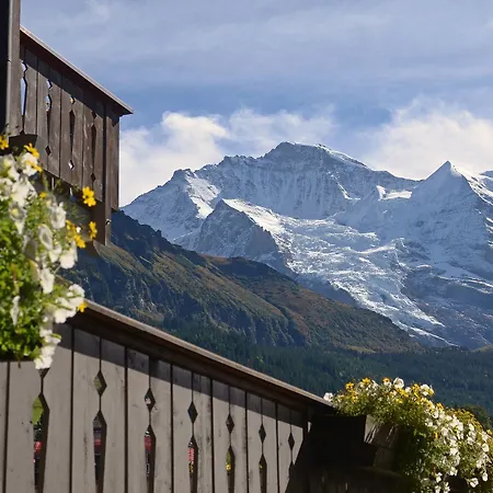 Hotel Maya Caprice 4*