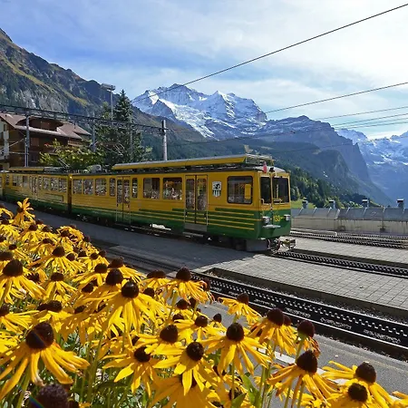 Maya Caprice Wengen