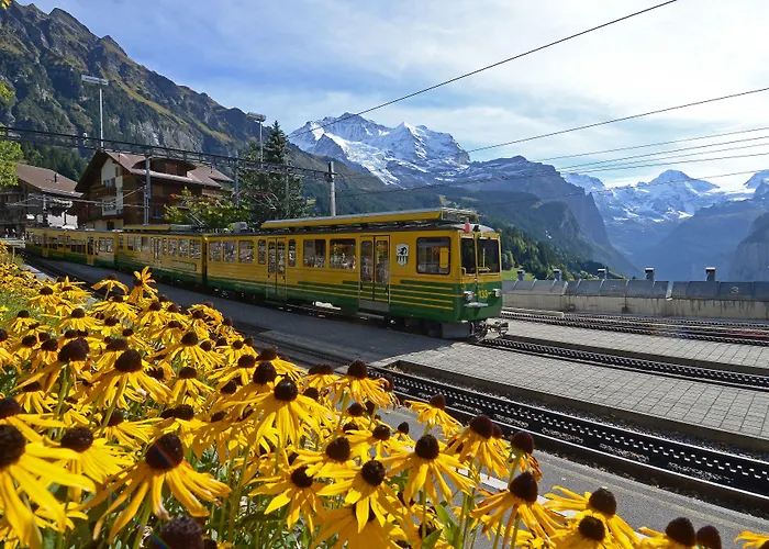 Hotel Maya Caprice 4*