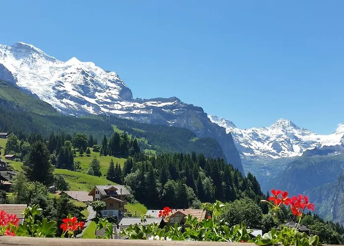 Maya Caprice Hotel 4*