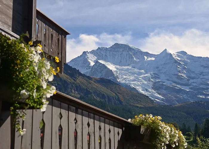 Hotel Maya Caprice 4*