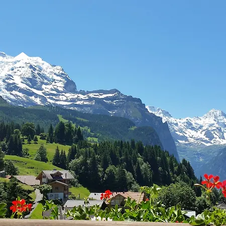 Maya Caprice Hotel 4*